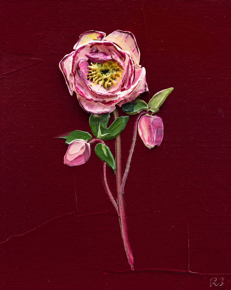 Image of Hellebore On Burgundy II Giclée Print