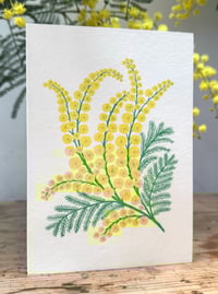 Image 2 of Pack of Mimosa Cards