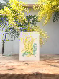 Image 1 of Pack of Mimosa Cards