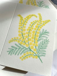 Image 3 of Pack of Mimosa Cards