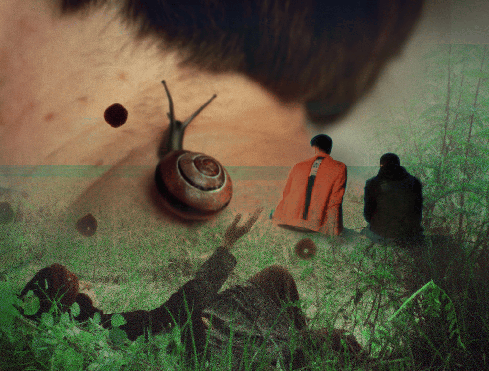 Friend of Courtisane 2026