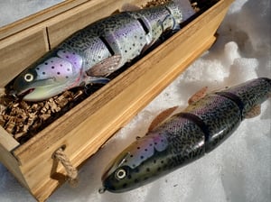Image of 10.5” Cali Girl 4 Piece (Fillmore Trout)