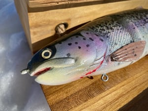 Image of 10.5” Cali Girl 4 Piece (Fillmore Trout)