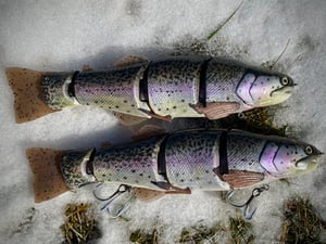 Image of 10.5” Cali Girl 4 Piece (Fillmore Trout)