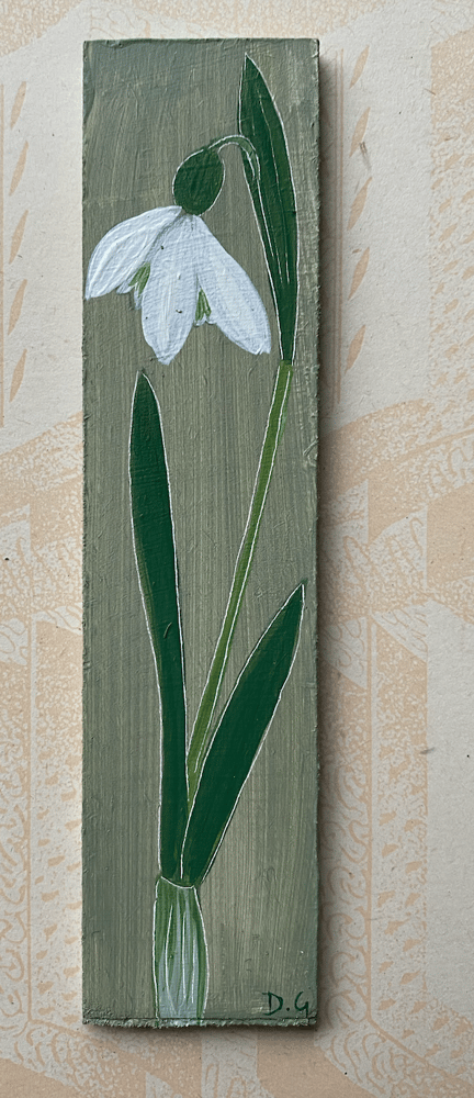 Image of Single Snowdrop (H)
