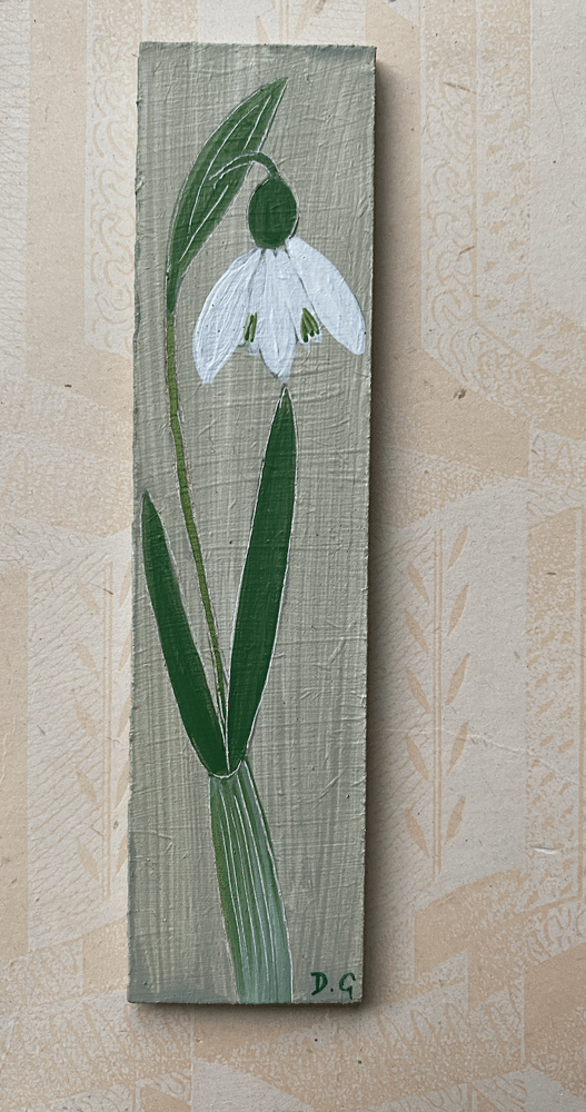 Image of Single Snowdrop (A)