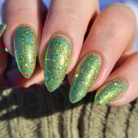 Image 13 of Name This Polish 