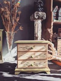 Image 6 of Rose cabinets