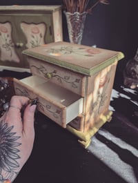 Image 7 of Rose cabinets