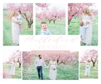 Motherhood Minis X Becca