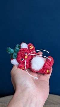 Image 4 of Sienna the miniature strawberry kitten 