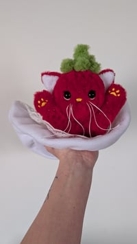 Image 3 of Sophie the strawberry kitten 