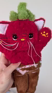 Image 1 of Sophie the strawberry kitten 