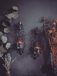 Image 1 of Swirly Sconses 