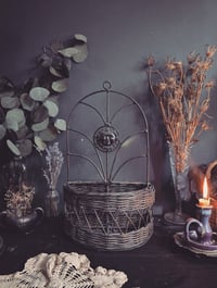 Image 1 of Sun hanging basket 