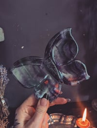 Image 2 of Fluorite Butterfly dish 