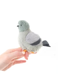 Image 1 of pigeon plush