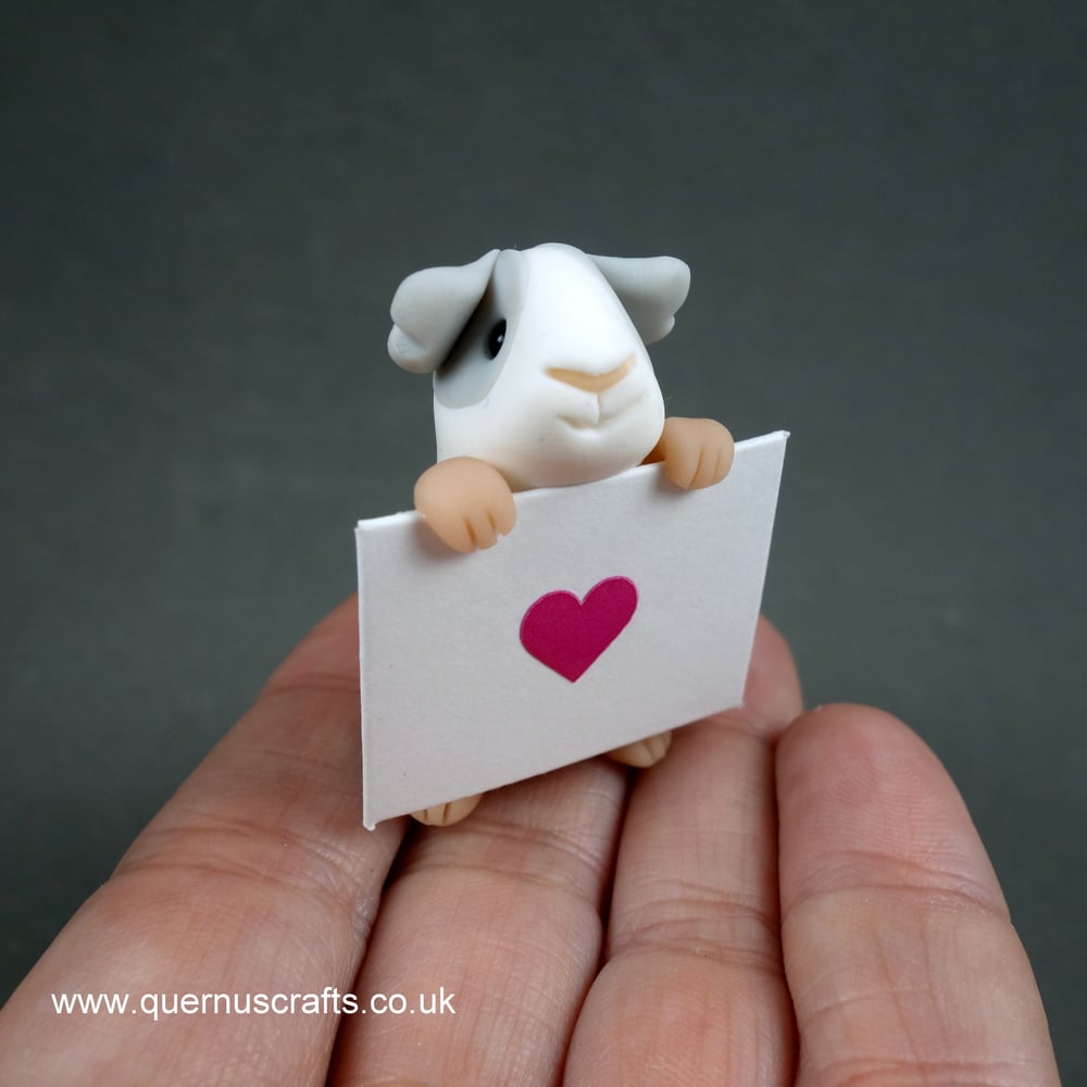 Wee Valentine Guinea Pig