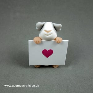 Wee Valentine Guinea Pig