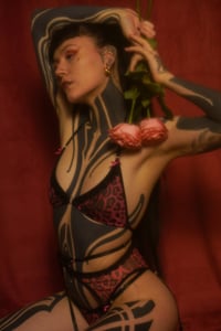 Image 1 of Leo pink Mesh Triangel Top