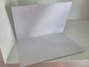 Image of Chase Your Dreams