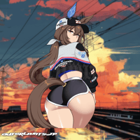 Admire Vega NASCAR Edition