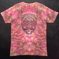 Image 1 of FOL Stealie - M