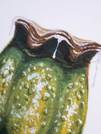 Image 3 of 'Xenomorph Egg' Print