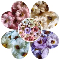 Image 16 of Frida’s Garden