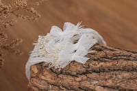 Image 1 of Bow Stretch Tieback - White