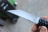 Image 2 of Kyoryu No. 013