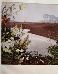 Image 4 of The Shell Guide to Flowers of The Countryside