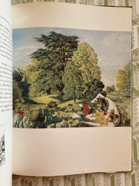 Image 2 of The Shell Guide to Trees and Shrubs