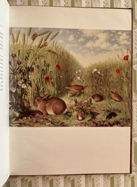 Image 5 of The Shell Guide to Wildlife
