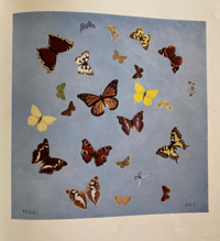 Image 2 of Shell Nature Studies Fossils Insects and Reptiles