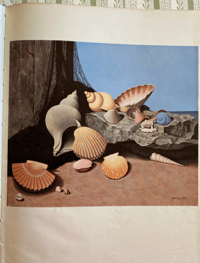 Image 4 of Shell Nature Studies Fossils Insects and Reptiles