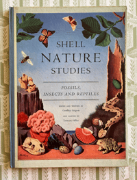 Image 1 of Shell Nature Studies Fossils Insects and Reptiles