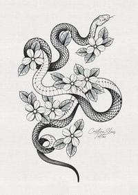 Image 2 of Lámina serpiente