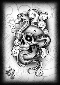 Image 2 of Lámina cráneo