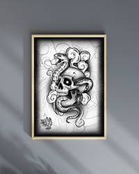 Image 1 of Lámina cráneo