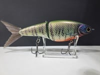 Image 5 of Biggs Custom Baits- C7 colorway #50