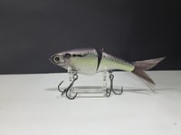 Image 1 of Biggs Custom Baits- Minnow colorway #45