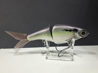 Image 4 of Biggs Custom Baits- Minnow colorway #45