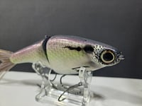 Image 5 of Biggs Custom Baits- Minnow colorway #45