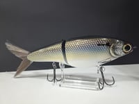 Image 2 of Biggs Custom Baits- Cetus colorway # 77