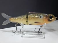 Image 2 of Northshore Swimbaits- 160mm glide colorway # 62