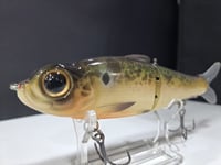 Image 4 of Northshore Swimbaits- 160mm glide colorway # 62