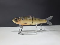 Image 5 of Northshore Swimbaits- 160mm glide colorway # 62