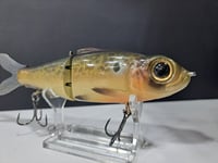Image 6 of Northshore Swimbaits- 160mm glide colorway # 62