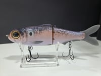 Image 8 of Northshore Swimbaits- 160mm glide colorway # 64